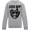 Детский Свитшот Cool boy monkey Серый меланж фото