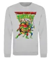 Свитшот Ninja turtles Серый меланж Свитшот Ninja turtles Серый меланж фото