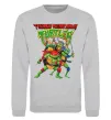 Свитшот Ninja turtles Серый меланж фото
