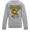 Детский Свитшот Ninja turtles Raphael Серый меланж фото