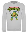 Свитшот Leonardo Ninja Turtles Серый меланж Свитшот Leonardo Ninja Turtles Серый меланж фото