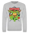 Світшот Рафаель Черепашки ніндзя Сірий меланж фото
