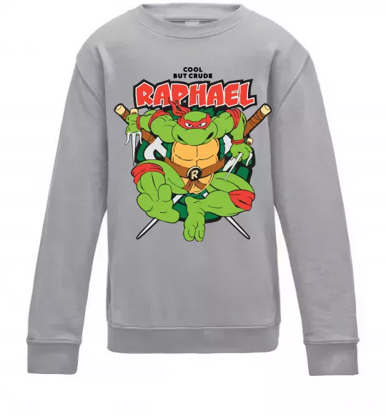 Дитячий світшот Рафаель Черепашки ніндзя Сірий меланж фото