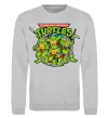 Свитшот Teenage mutant ninja turtles Серый меланж фото