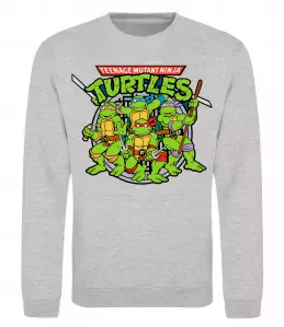 Свитшот Teenage mutant ninja turtles Серый меланж фото