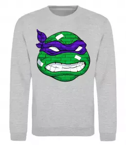 Свитшот TMNT face Серый меланж фото