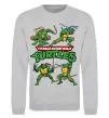 Свитшот Mutant ninja turtles Серый меланж фото