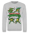 Свитшот Mutant ninja turtles Серый меланж фото