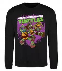 Свитшот Ninja turtles art Черный фото