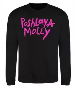 Свитшот Пошлая Молли Серый меланж фото