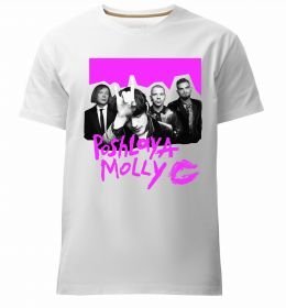 Мужская премиум футболка Poshlaya Molly band pink