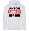 Чоловіча толстовка (худі) Антон завжди правий Сірий меланж фото