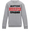 Дитячий світшот Антон завжди правий Сірий меланж фото