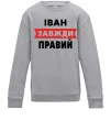 Дитячий світшот Іван завжди правий Сірий меланж фото