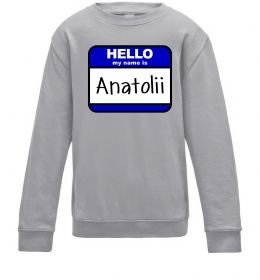 Детский Свитшот Hello my name is Anatolii