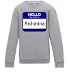 Детский Свитшот Hello my name is Antonina Серый меланж фото