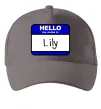 Кепка Hello my name is Lily Серый фото
