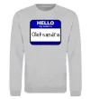 Свитшот Hello my name is Oleksandra Серый меланж фото