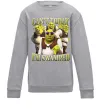 Дитячий світшот Shrek I`m swamped Сірий меланж фото