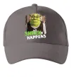 Кепка Shrek happens Серый фото
