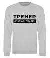 Свитшот Тренер завжди правий Серый меланж фото