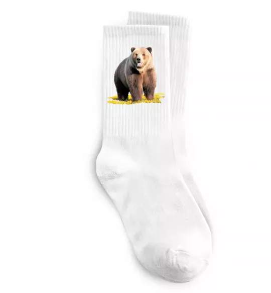 Носки Ведмідь на поляні Белый фото
