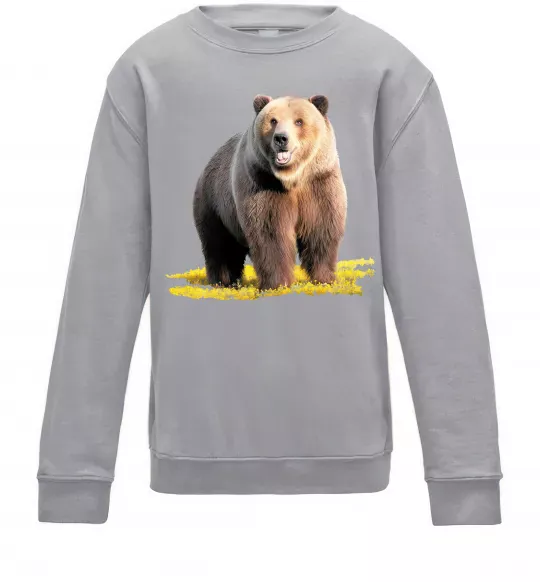 Дитячий світшот Ведмідь на поляні Сірий меланж фото