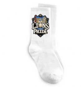 Носки Warcraft lions Pride