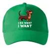 Кепка Такса I do what I want Зеленый фото