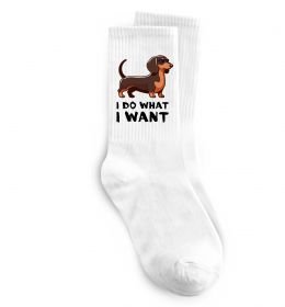 Носки Такса I do what I want
