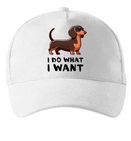 Кепка Такса I do what I want