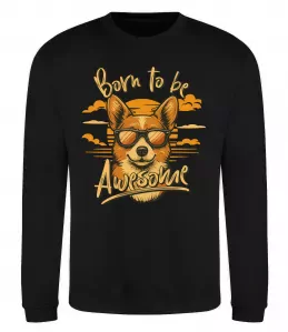 Свитшот Свитшот