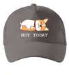 Кепка Not today Corgi Серый фото