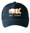Кепка Not today Corgi Темно-синий фото