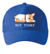 Кепка Not today Corgi Ярко-синий фото