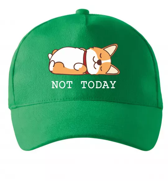 Кепка Not today Corgi Зеленый фото