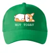 Кепка Not today Corgi Зеленый фото