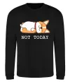 Світшот Not today Corgi Чорний фото