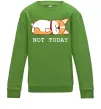 Дитячий світшот Not today Corgi Лаймовий Дитячий світшот Not today Corgi Лаймовий фото