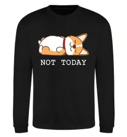 Свитшот Not today Corgi Черный фото