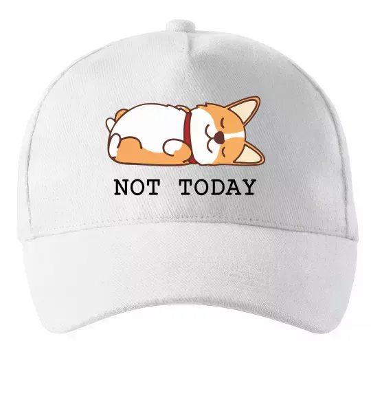 Кепка Not today Corgi Белый фото