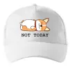 Кепка Not today Corgi Белый фото