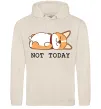 Мужская толстовка (худи) Not today Corgi Таш фото