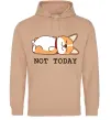 Женская толстовка (худи) Not today Corgi Песочный Женская толстовка (худи) Not today Corgi Песочный фото