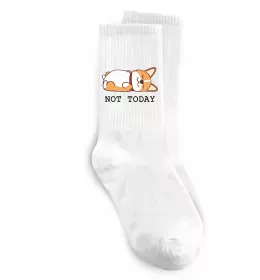 Носки Not today Corgi Белый фото