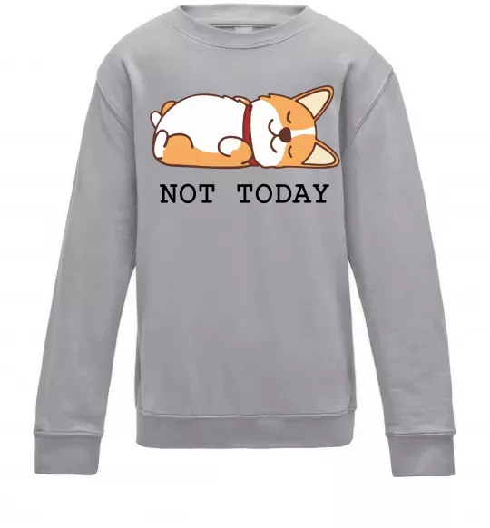 Дитячий світшот Not today Corgi Сірий меланж фото