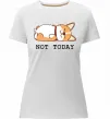 Жіноча преміум футболка Not today Corgi Білий фото