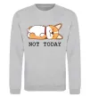 Свитшот Not today Corgi Серый меланж фото