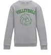 Детский Свитшот Волейбол м'яч з серцем Серый меланж фото