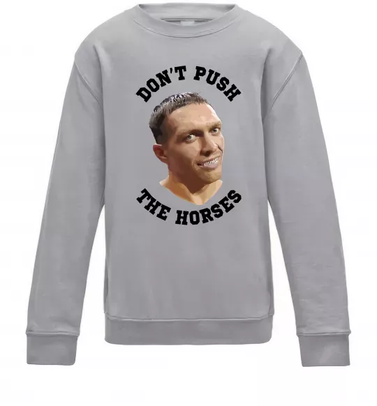Дитячий світшот Олександр Усик Don`t push the horses Сірий меланж фото